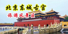 骚浪视频在线观看完整网址中国北京-东城古宫旅游风景区